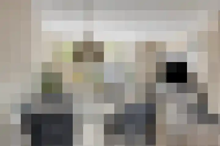 Smidshoef 15 Hendrik-Ido-Ambacht thumbnail 18