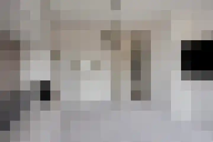 Smidshoef 15 Hendrik-Ido-Ambacht thumbnail 20