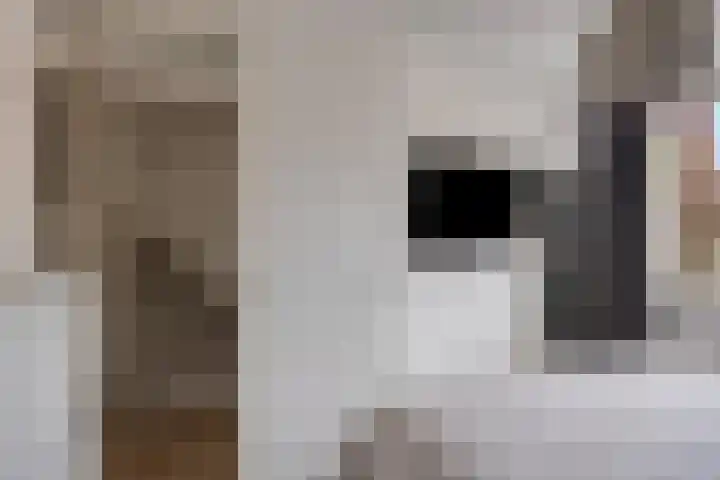 Smidshoef 15 Hendrik-Ido-Ambacht thumbnail 21