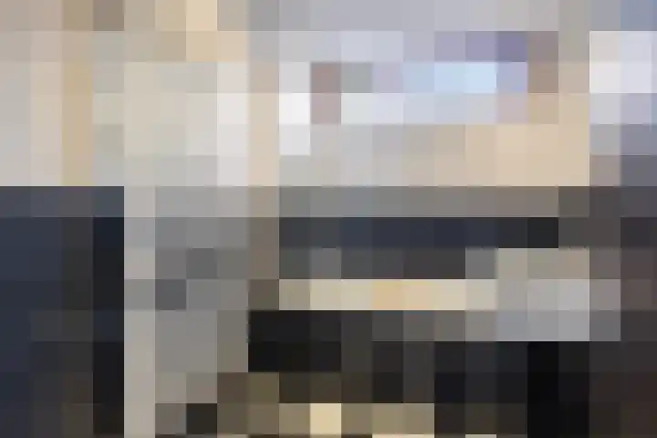 Smidshoef 15 Hendrik-Ido-Ambacht thumbnail 22