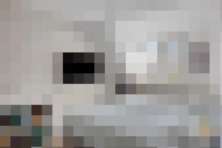 Smidshoef 15 Hendrik-Ido-Ambacht thumbnail 24