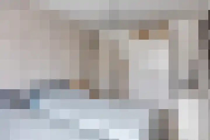 Smidshoef 15 Hendrik-Ido-Ambacht thumbnail 25