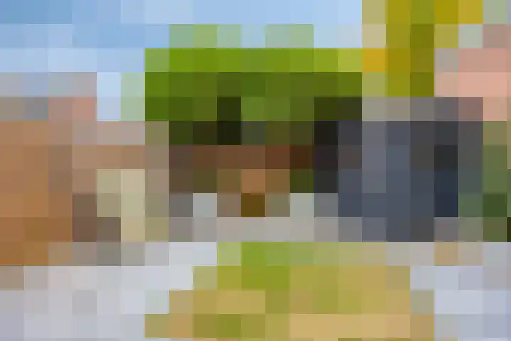 Smidshoef 15 Hendrik-Ido-Ambacht thumbnail 31