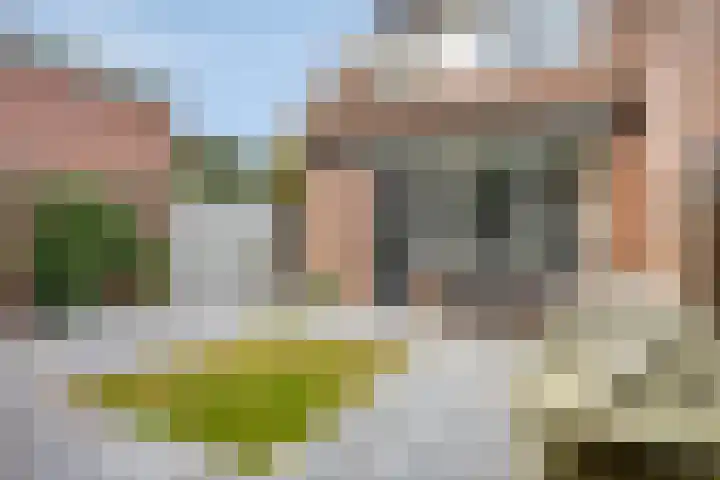 Smidshoef 15 Hendrik-Ido-Ambacht thumbnail 33