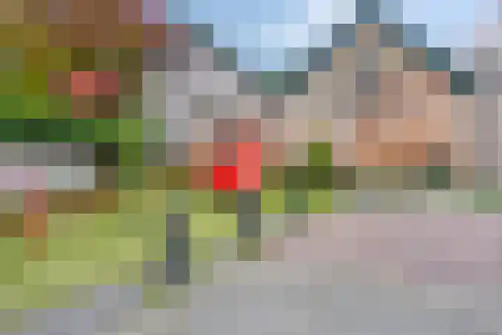 Smidshoef 15 Hendrik-Ido-Ambacht thumbnail 37