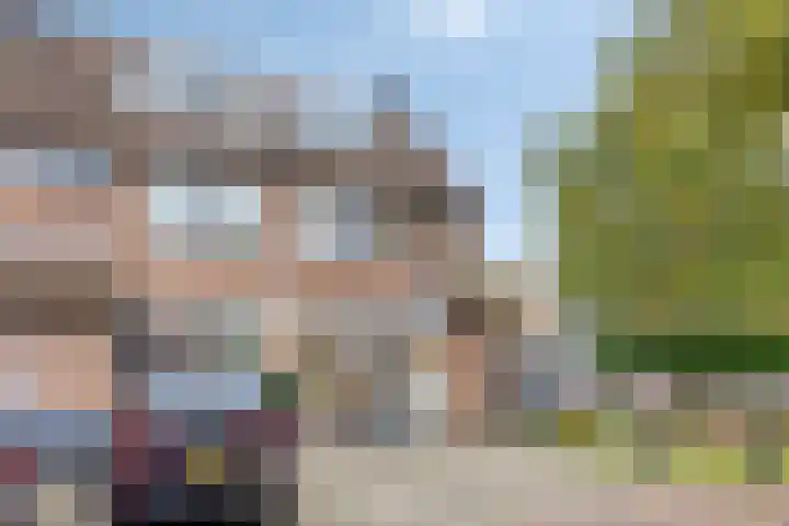 Smidshoef 15 Hendrik-Ido-Ambacht thumbnail 4