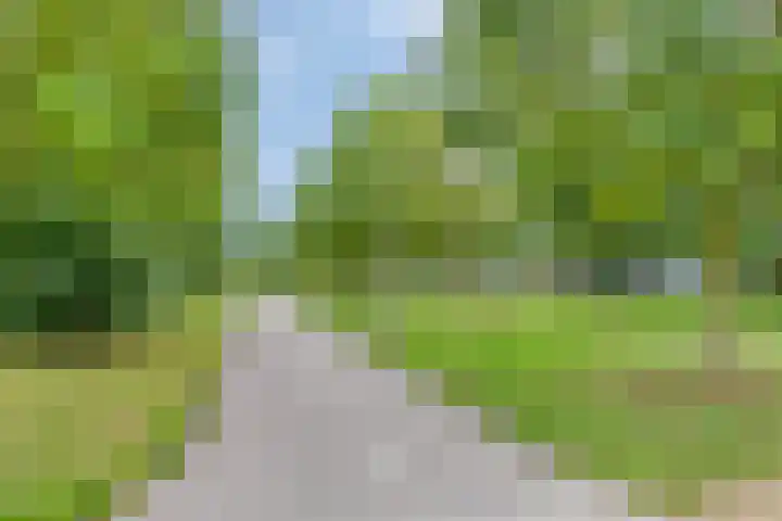 Smidshoef 15 Hendrik-Ido-Ambacht thumbnail 41