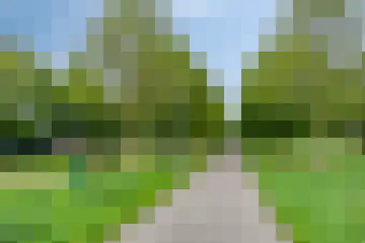 Smidshoef 15 Hendrik-Ido-Ambacht thumbnail 42