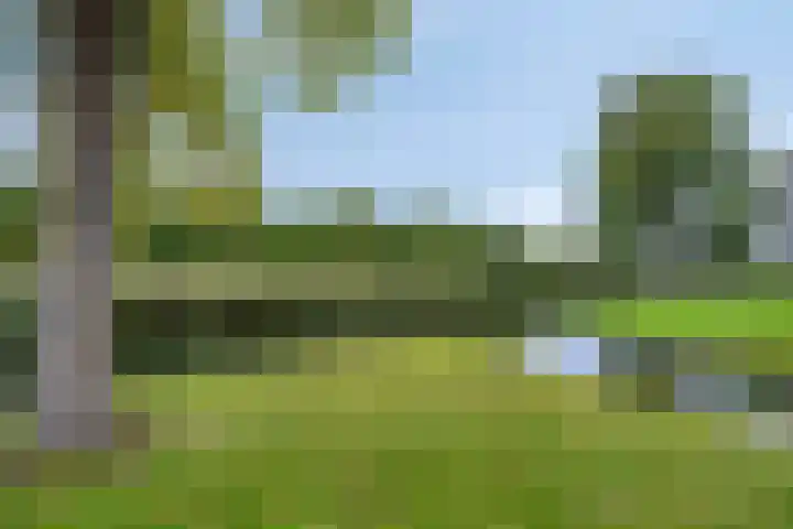 Smidshoef 15 Hendrik-Ido-Ambacht thumbnail 43
