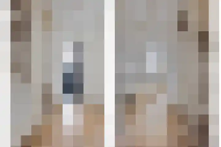 Smidshoef 15 Hendrik-Ido-Ambacht thumbnail 7