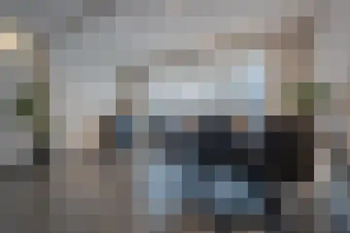 Smidshoef 17 Hendrik-Ido-Ambacht thumbnail 12
