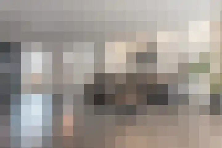 Smidshoef 17 Hendrik-Ido-Ambacht thumbnail 16
