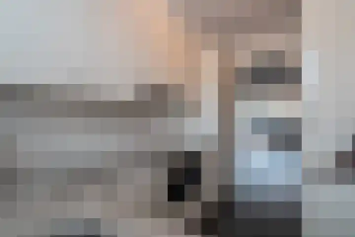 Smidshoef 17 Hendrik-Ido-Ambacht thumbnail 17