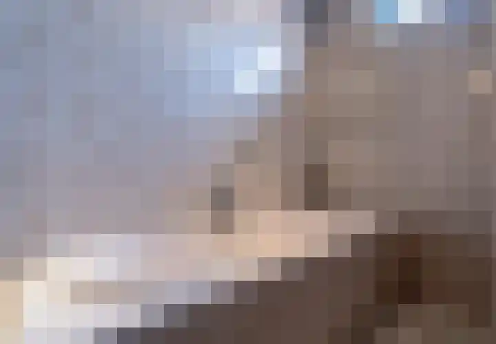 Smidshoef 17 Hendrik-Ido-Ambacht thumbnail 25
