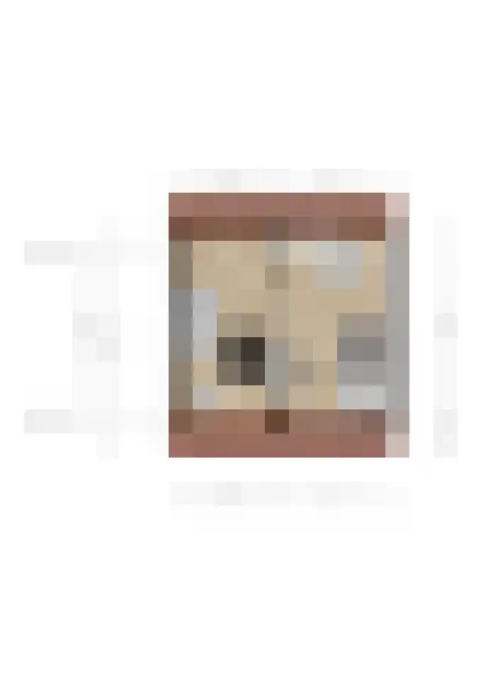 Smidshoef 17 Hendrik-Ido-Ambacht thumbnail 31