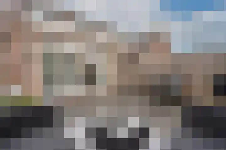 Smidshoef 17 Hendrik-Ido-Ambacht thumbnail 5