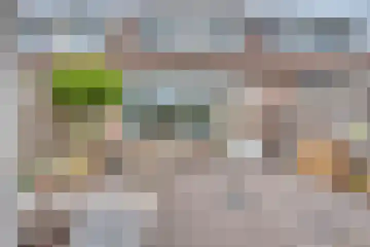 Smidshoef 29 Hendrik-Ido-Ambacht thumbnail 30