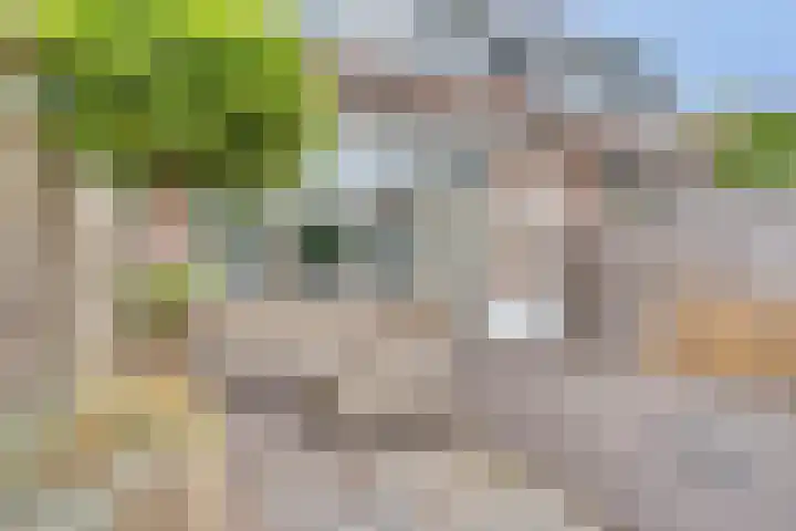 Smidshoef 29 Hendrik-Ido-Ambacht thumbnail 4