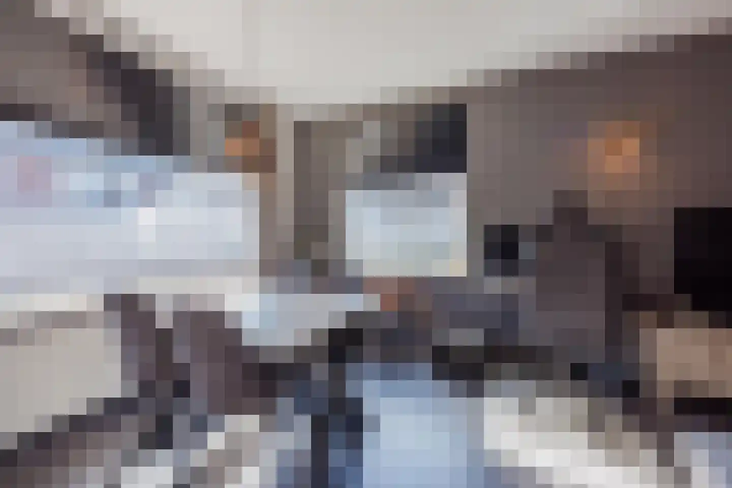 Smidshof 11 Raamsdonksveer thumbnail 17