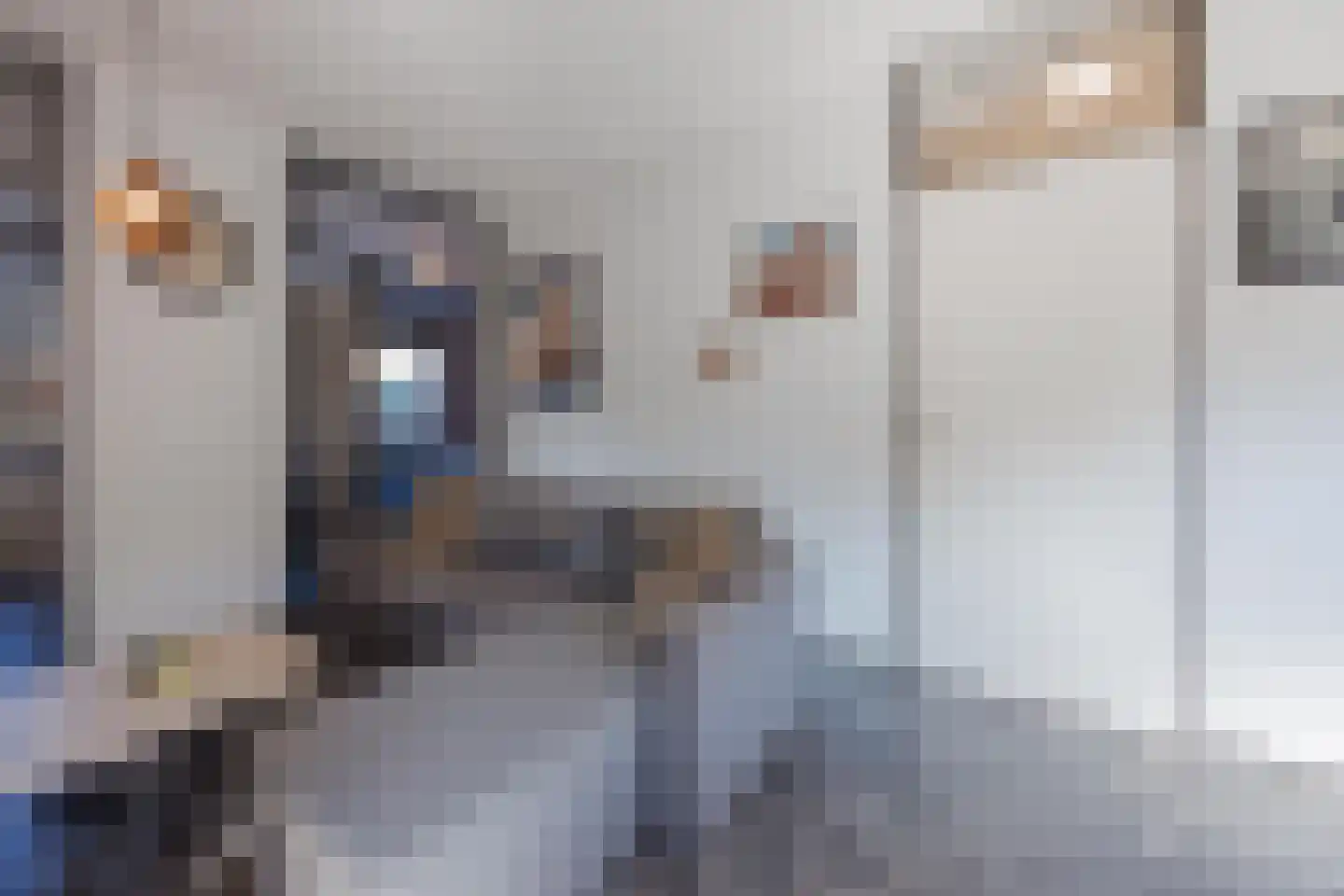 Smidshof 11 Raamsdonksveer thumbnail 18