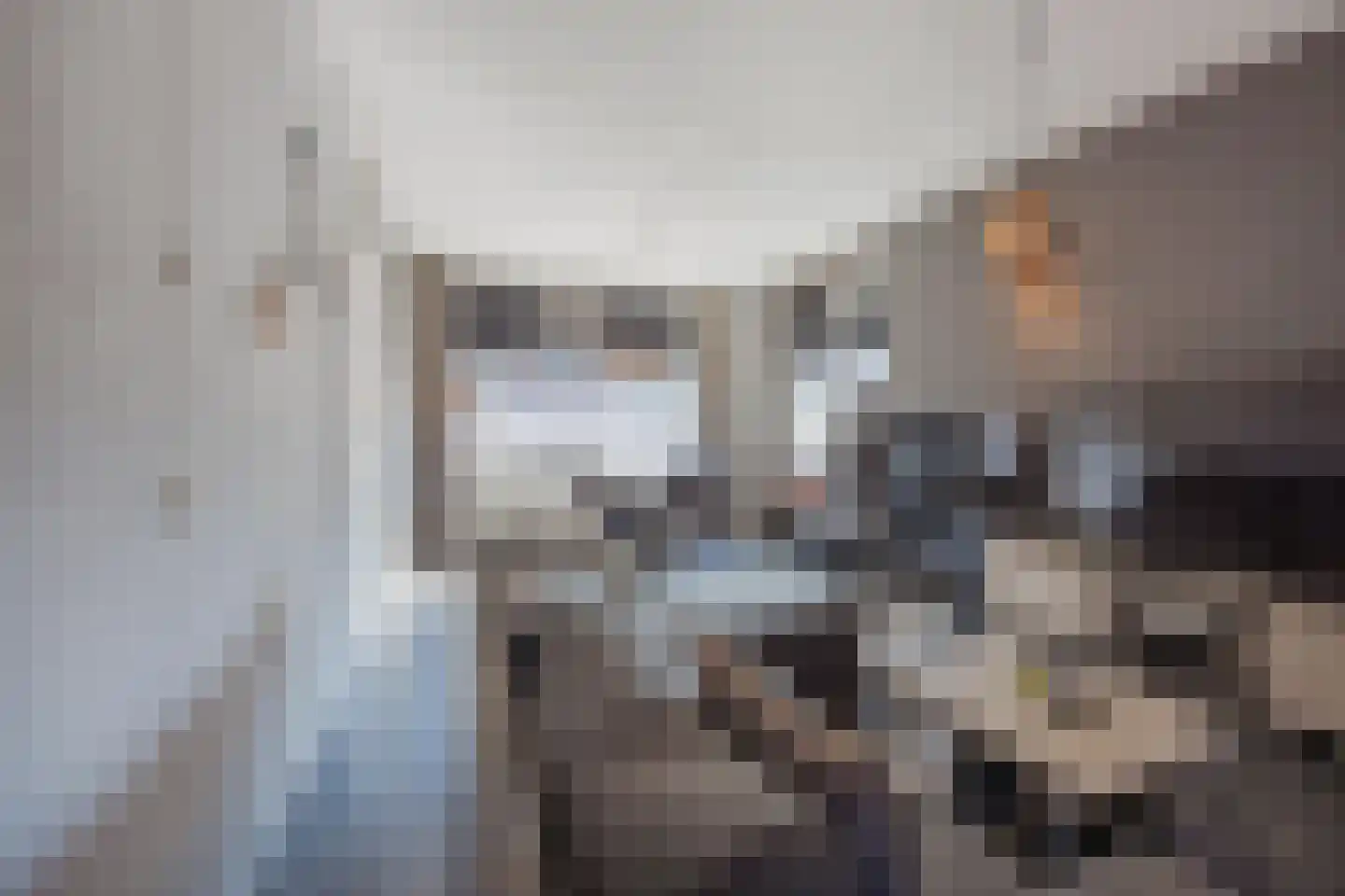 Smidshof 11 Raamsdonksveer thumbnail 20