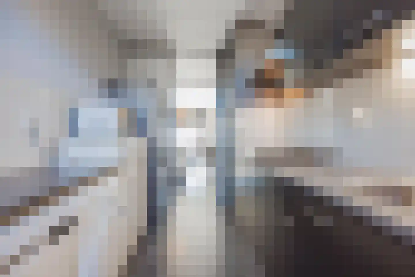 Smidshof 11 Raamsdonksveer thumbnail 22