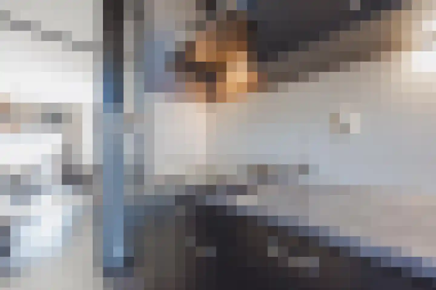 Smidshof 11 Raamsdonksveer thumbnail 23