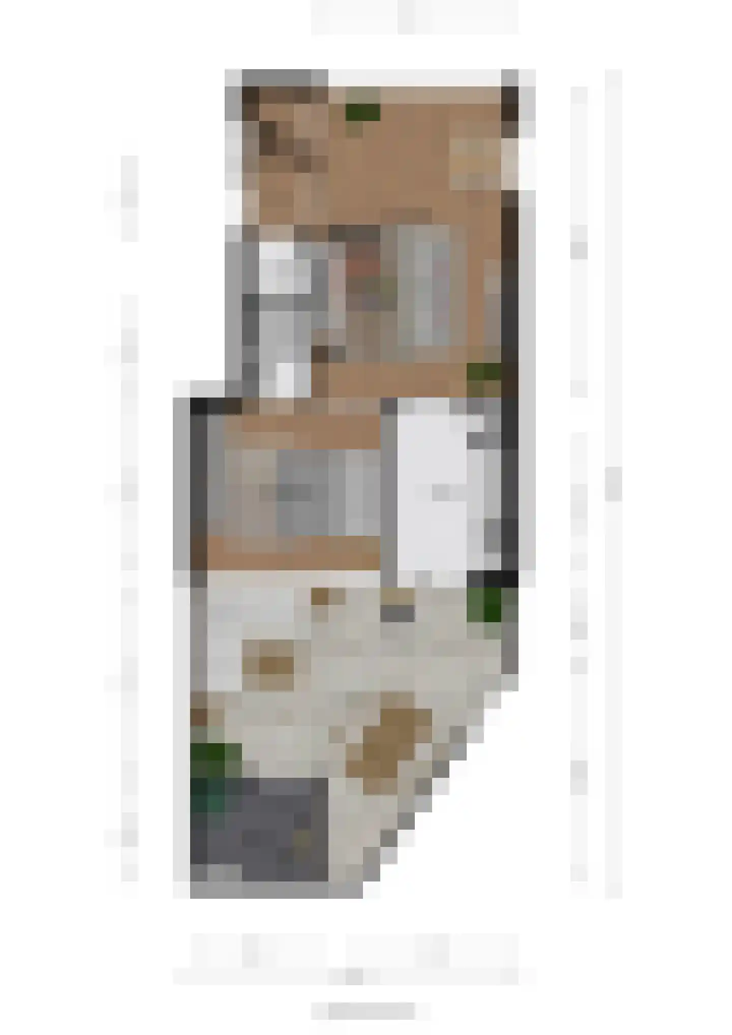 Smidshof 11 Raamsdonksveer thumbnail 41