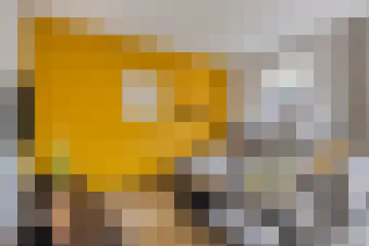 Smidshof 12 Alphen thumbnail 16