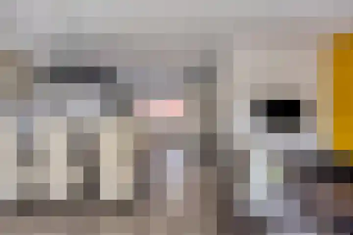 Smidshof 12 Alphen thumbnail 17