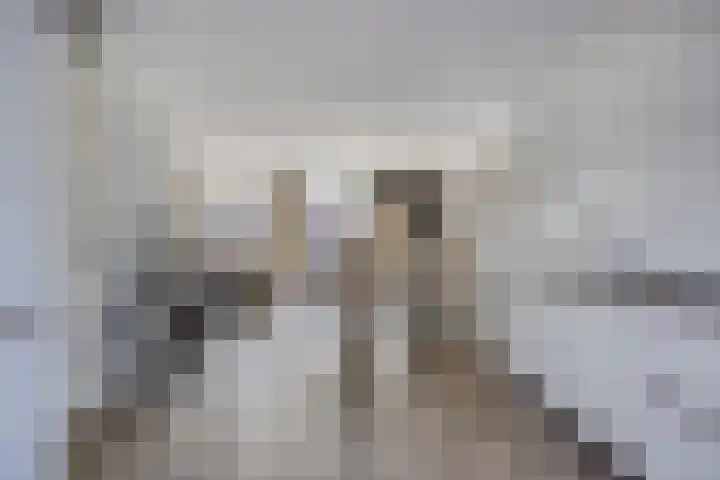 Smidshof 12 Alphen thumbnail 22