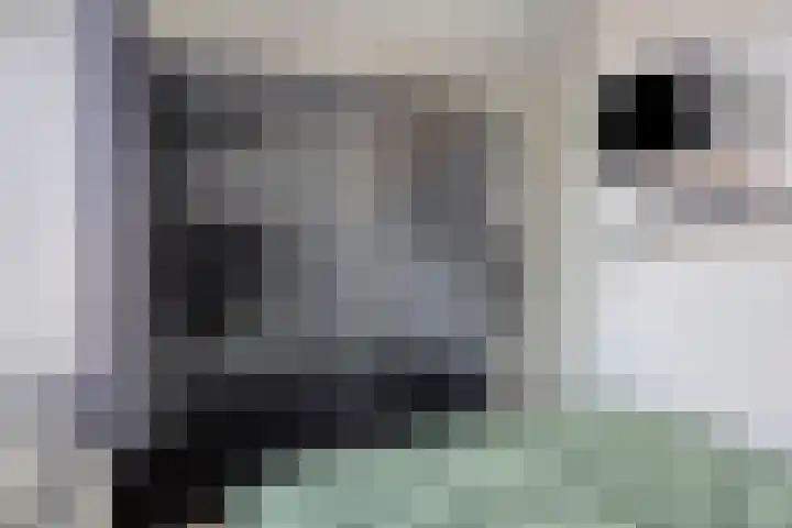 Smidshof 12 Alphen thumbnail 32