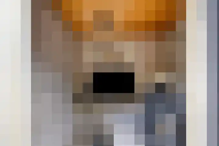 Smidshof 12 Alphen thumbnail 39