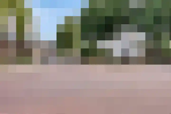 Smidshof 12 Alphen thumbnail 42