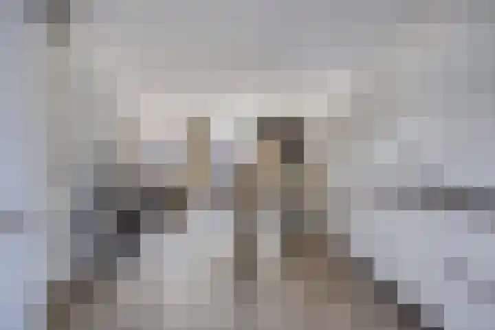 Smidshof 12 Alphen thumbnail 5
