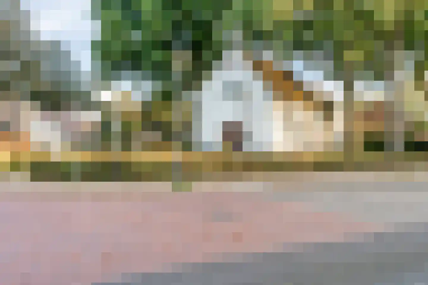 Smidshof 14 Alphen thumbnail 36