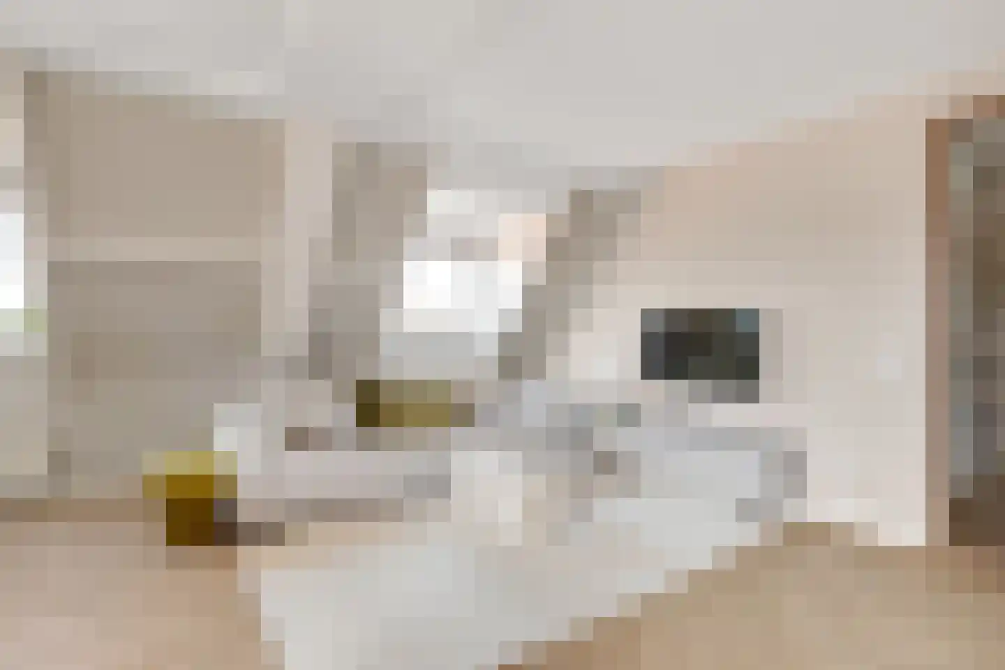 Smidshof 15 Nijkerk thumbnail 13