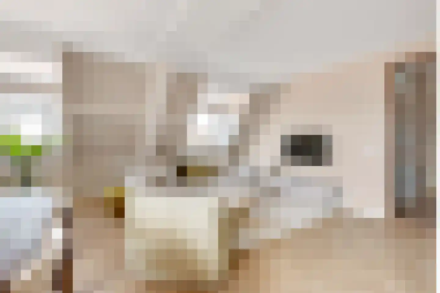 Smidshof 15 Nijkerk thumbnail 14