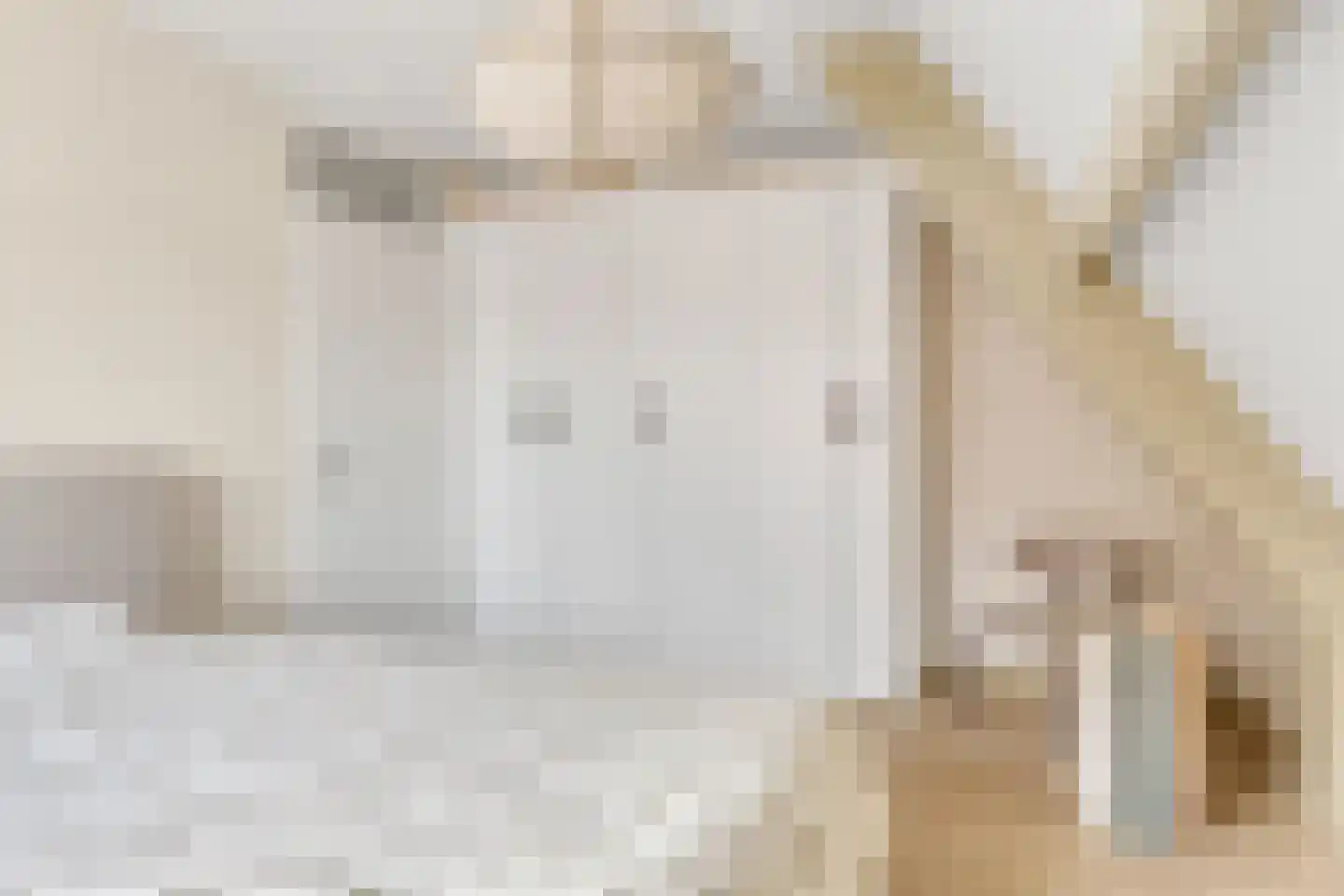 Smidshof 15 Nijkerk thumbnail 26