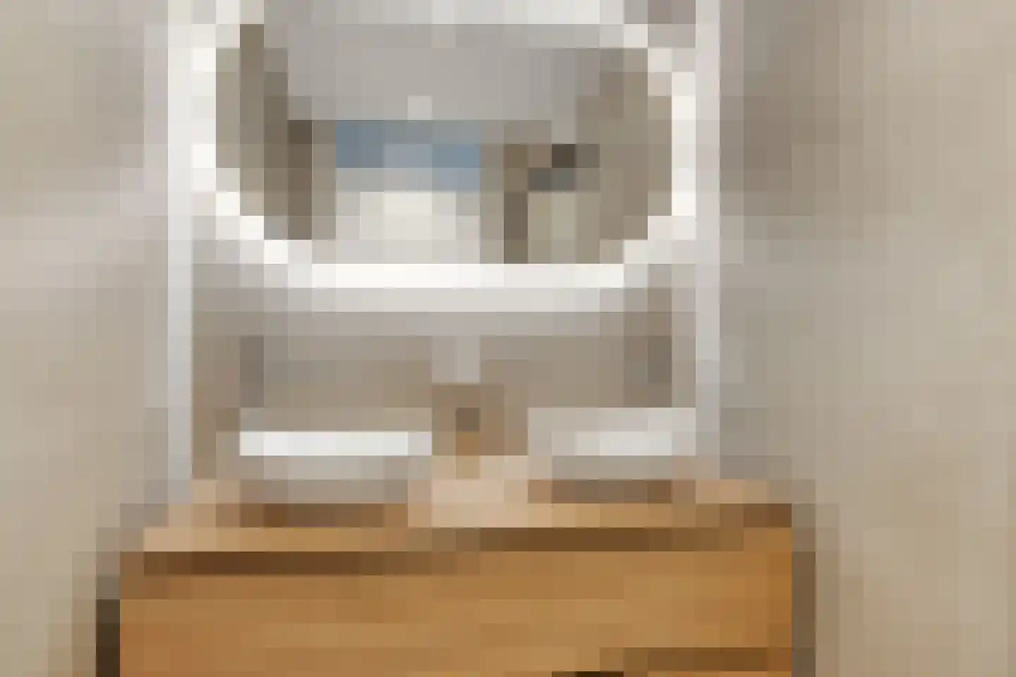 Smidshof 15 Nijkerk thumbnail 28