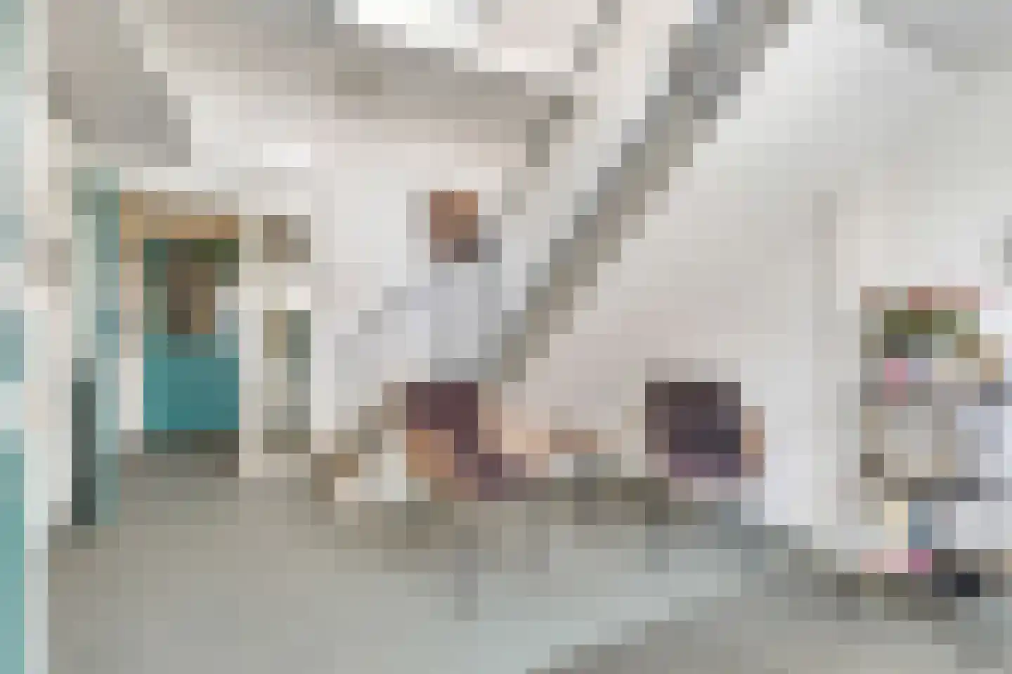 Smidshof 15 Nijkerk thumbnail 9