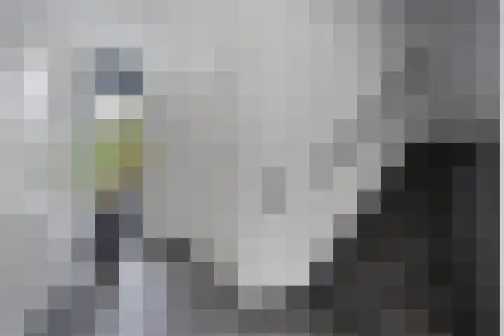 Smidshof 17 Vught thumbnail 31