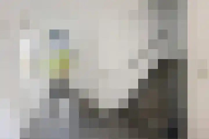 Smidshof 20 Vught thumbnail 10