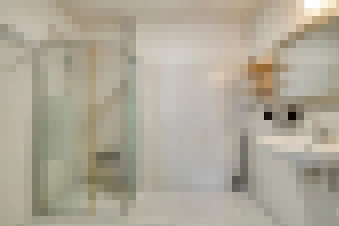 Smidshof 27 Vught thumbnail 18