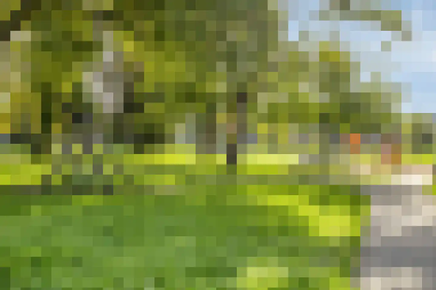 Smidshof 27 Vught thumbnail 23