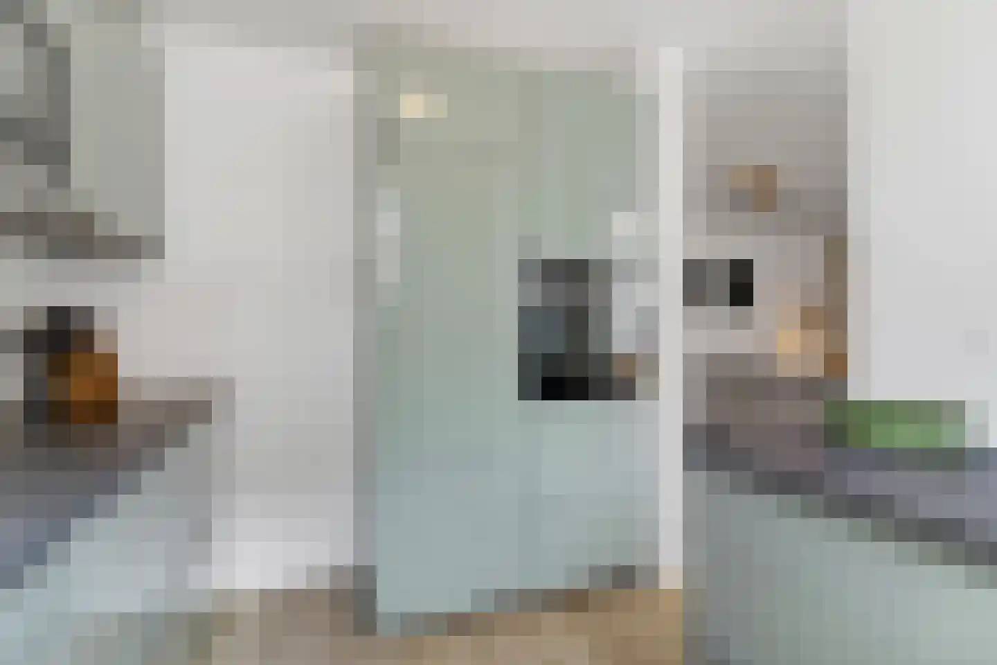 Smidshof 28 Vught thumbnail 15
