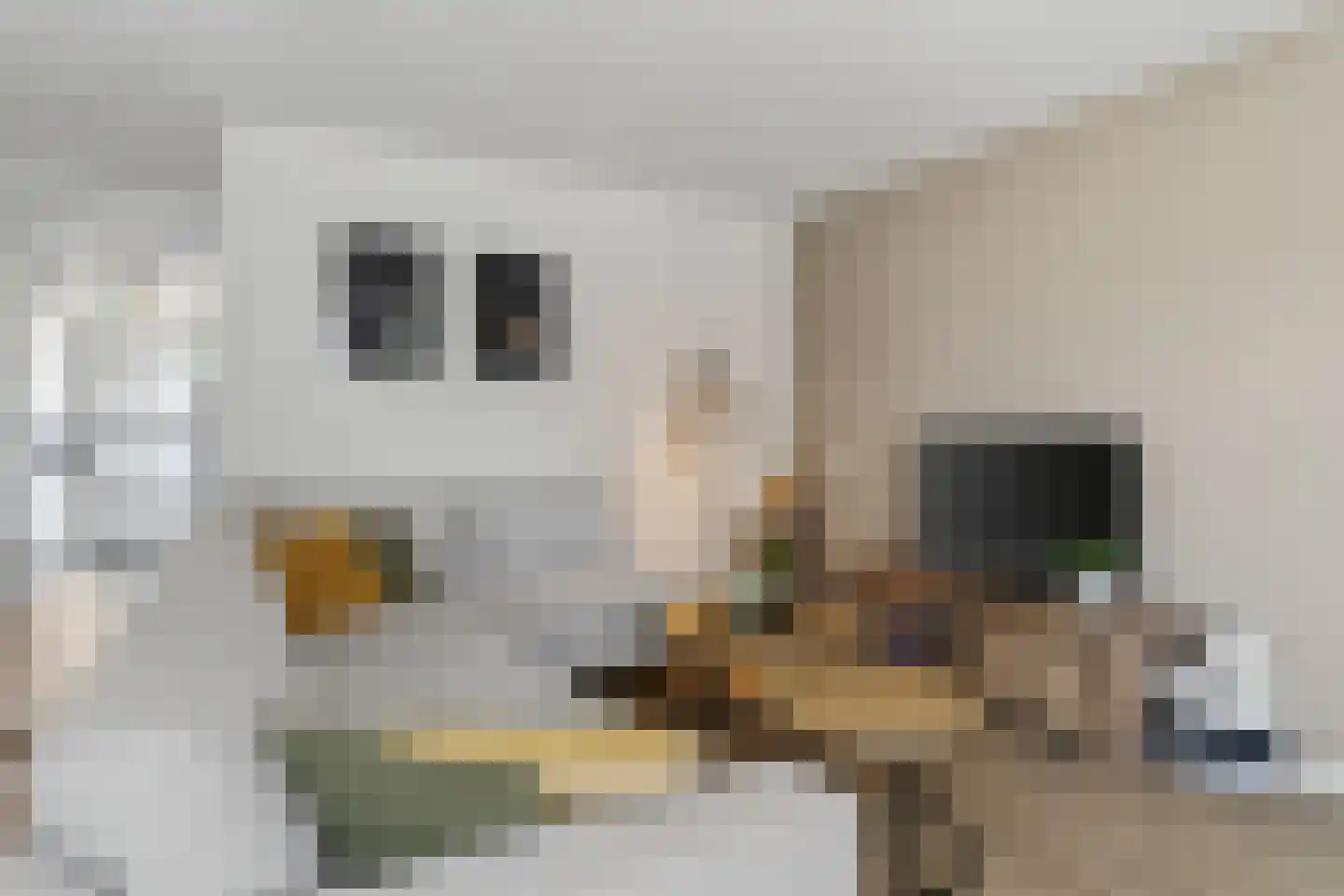 Smidshof 28 Vught thumbnail 16