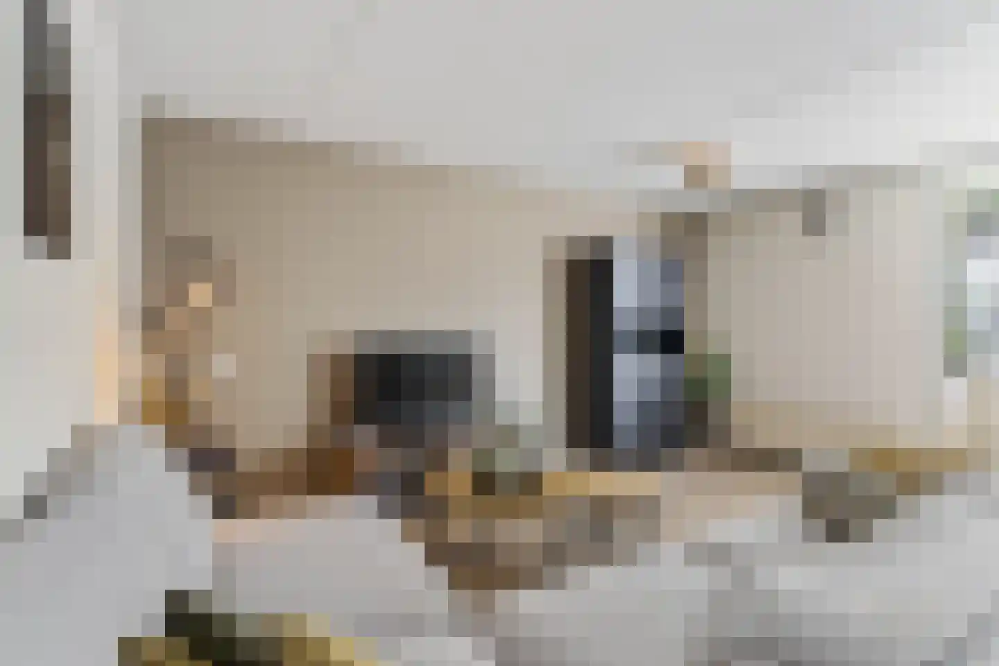 Smidshof 28 Vught thumbnail 5