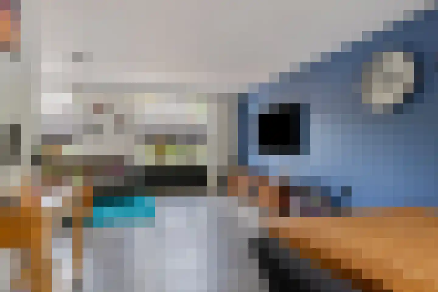 Smidshof 29 Galder thumbnail 12