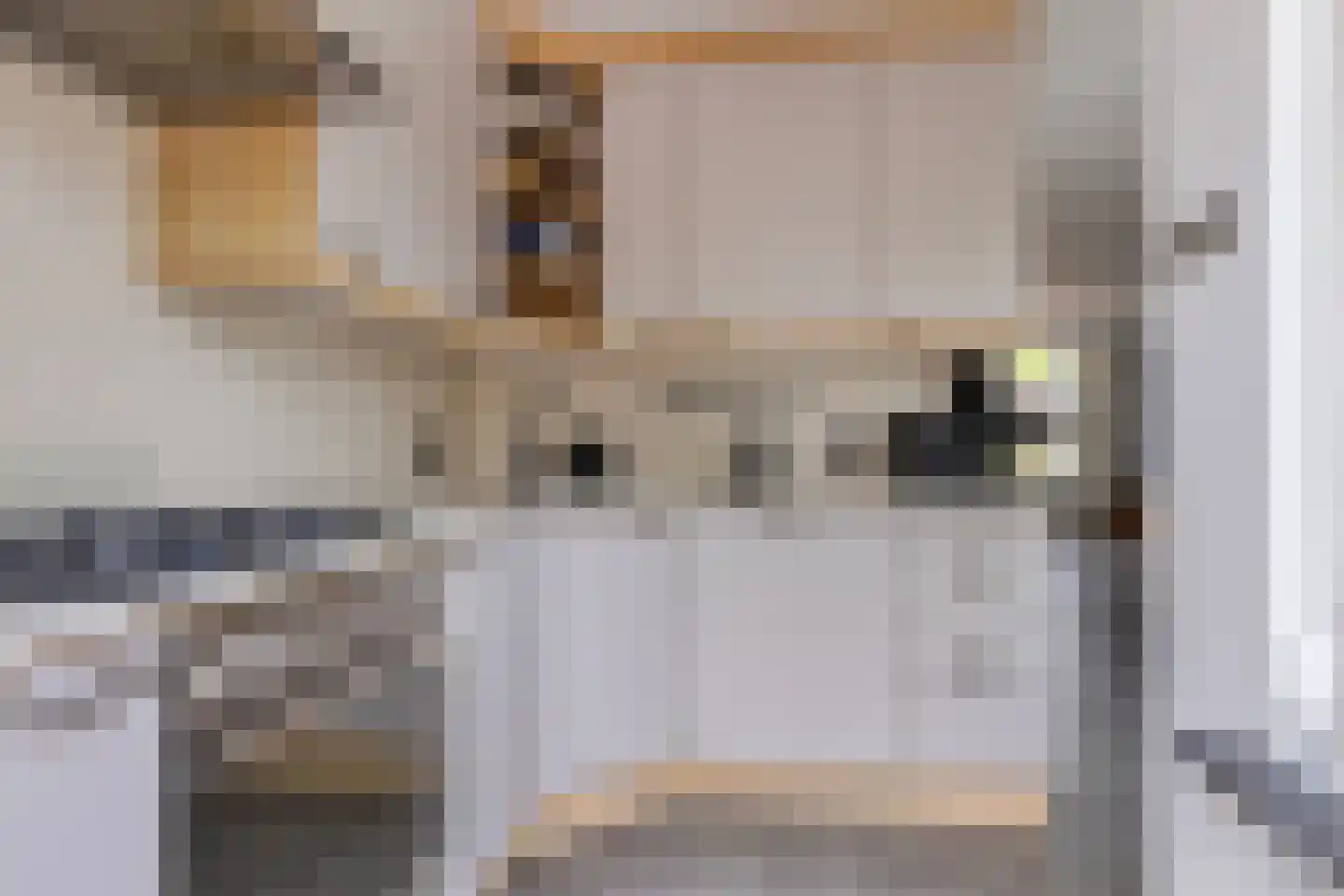 Smidshof 29 Galder thumbnail 14